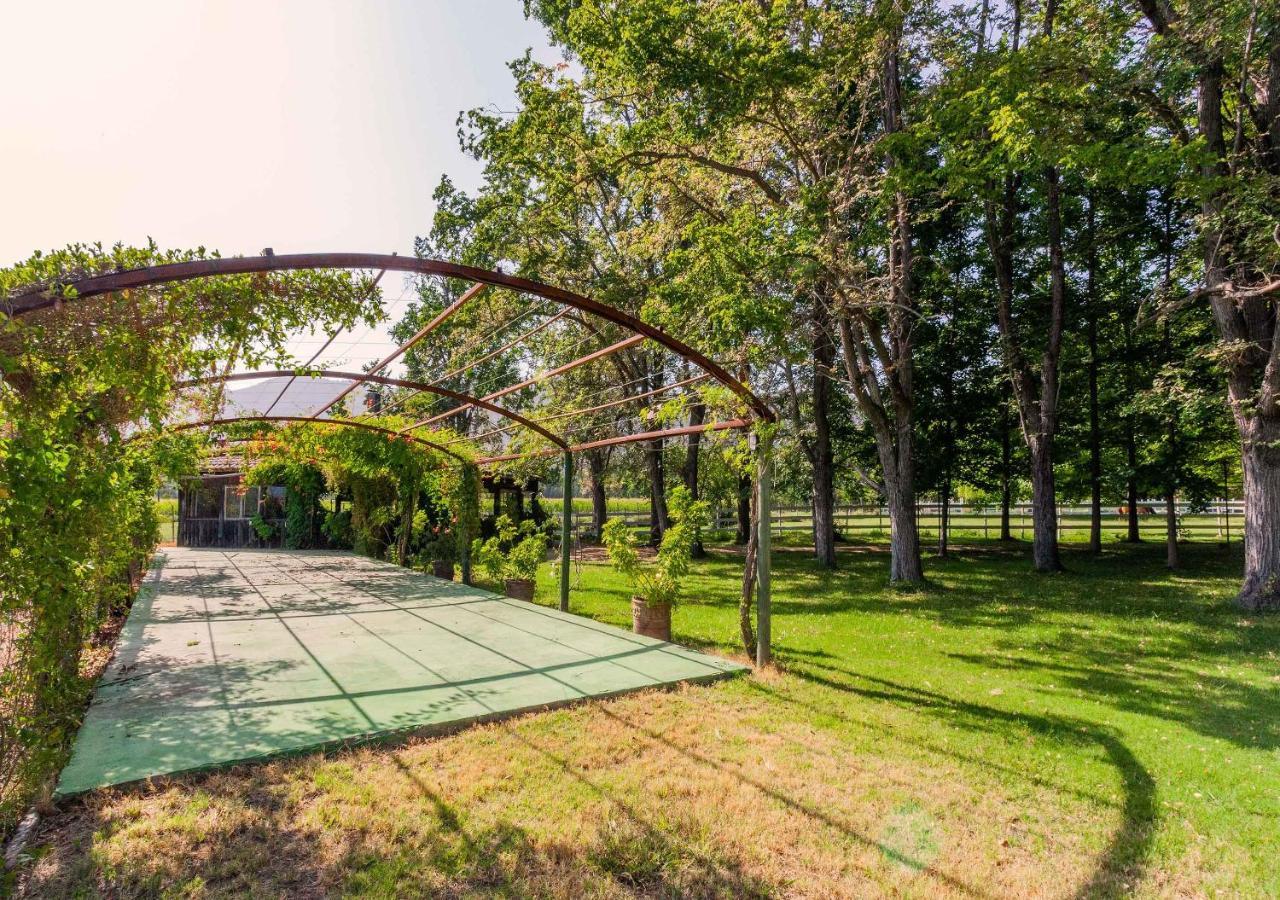 Hotel Boutique Almahue Pichidegua Luaran gambar