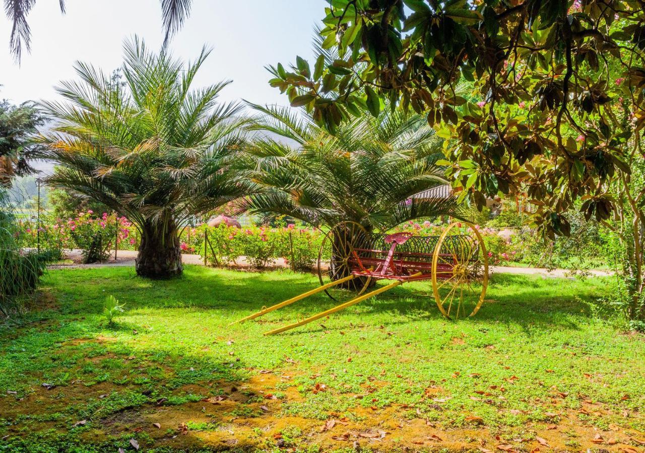 Hotel Boutique Almahue Pichidegua Luaran gambar